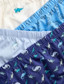 7pk Pure Cotton Dino Briefs (2-8 Yrs)