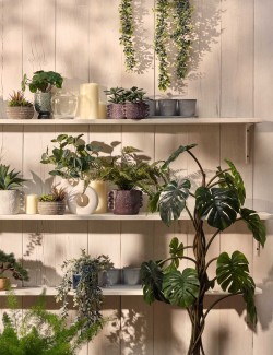 Umělé sukulenty v betonovém květináči