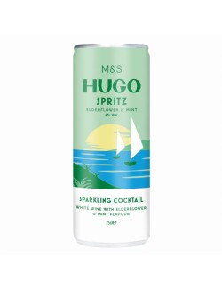 Sycený alkoholický nápoj na bázi vína s příchutí bezového květu a máty