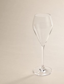 Set of 2 Prosecco Glasses