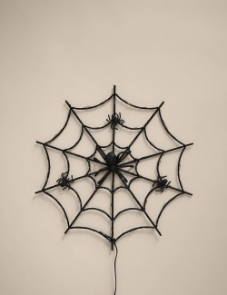 Spider Web Light Up Decoration