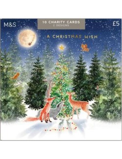 10 vánočních přání, 2 vzory