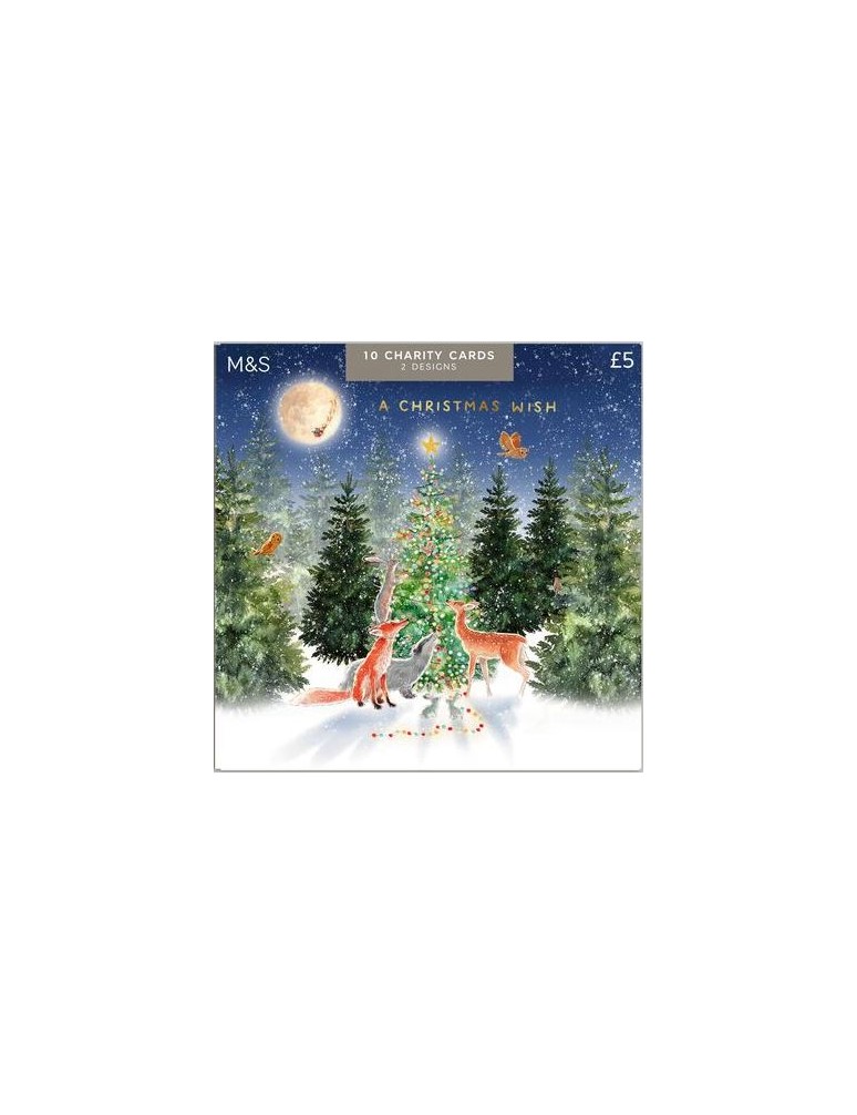 10 vánočních přání, 2 vzory