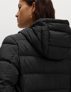 Feather & Down Hooded Duvet Coat