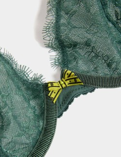 Anna Lace Wired Plunge Bra (A-E)