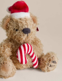 Plyšová závěsná ozdoba medvídek Spencer Bear™