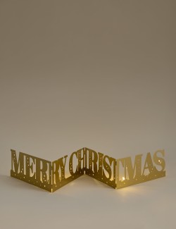 Light Up Merry Christmas Decoration