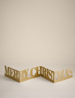 Light Up Merry Christmas Decoration