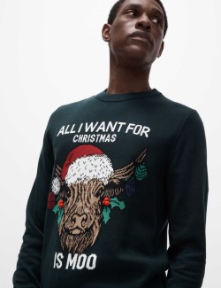 Pure Cotton Crew Neck Christmas Jumper