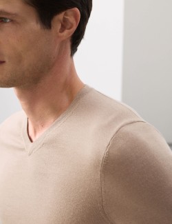 Pure Extra Fine Merino Wool V-Neck Jumper