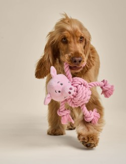 Hračka pro mazlíčka, Prasátko Percy™