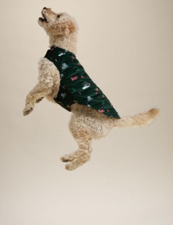Spencer Bear™ Pet Jumper