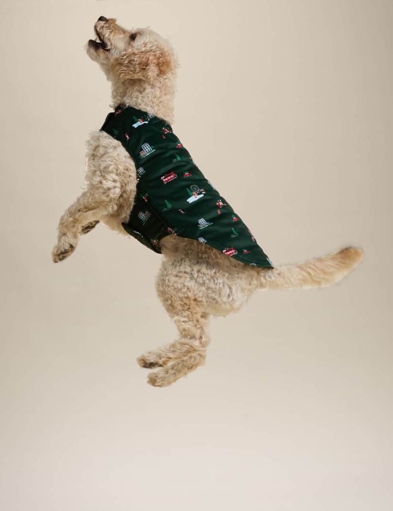 Spencer Bear™ Pet Jumper