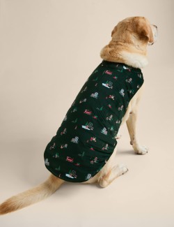 Spencer Bear™ Pet Jumper