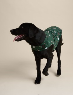 Spencer Bear™ Pet Jumper