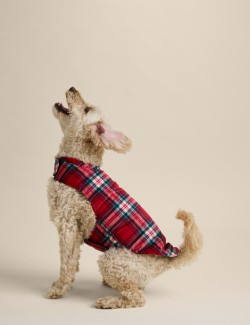 Tartan Dog Jumper