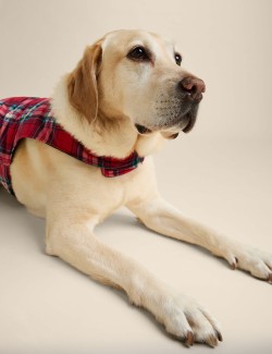 Tartan Dog Jumper