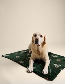 Spencer Bear™ Pet Blanket