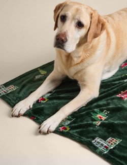 Spencer Bear™ Pet Blanket