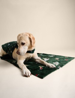 Spencer Bear™ Pet Blanket