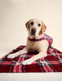 Tartan Blanket for Pets