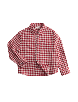 Pure Cotton Checked Shirt (2-8 Yrs)
