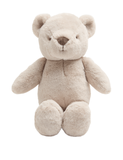 Bear Plush Toy (0+ Yrs)