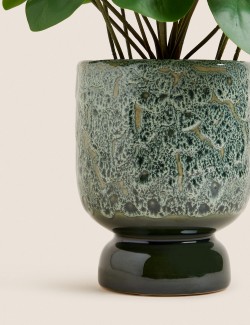 Umělá rostlina pilea v keramickém květináči
