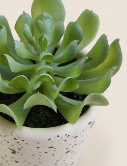 Artificial Succulent in Ceramic Pot