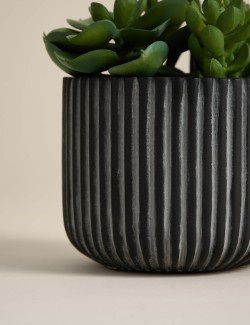 Umělé sukulenty v rýhovaném cementovém květináči