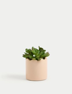 Artificial Mini Succulent Plant in Pot