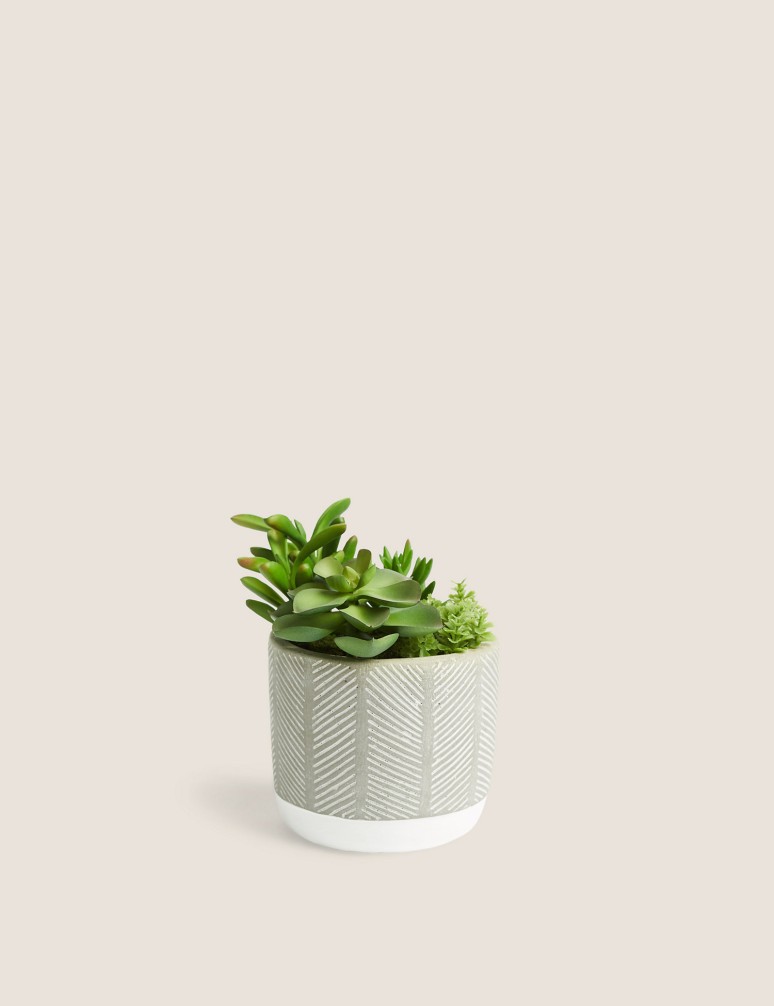 Artificial Succulent Garden