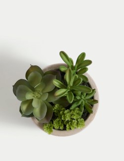 Artificial Succulent Garden