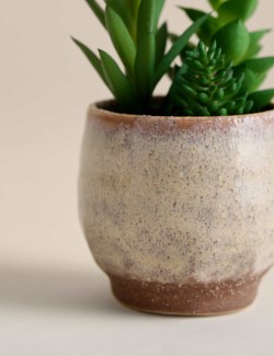 Artificial Mini Succulent in Ceramic Pot