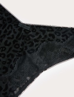 2 Pack Mesh Miami Knickers