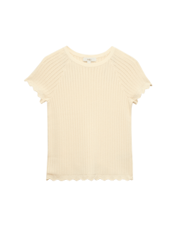 Pointelle Slim Fit Knitted Top