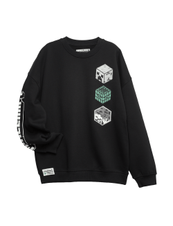 Cotton Rich Minecraft™ Sweatshirt (6-16 Yrs)
