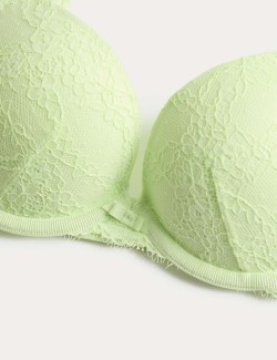 Ida Lace Wired Push-Up Plunge Bra (A-E)