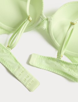 Ida Lace Wired Push-Up Plunge Bra (A-E)