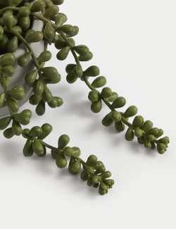 Artificial Mini String of Pearls in Pot