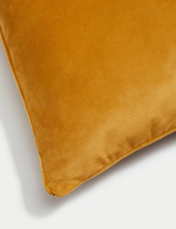 Velvet Piped Cushion