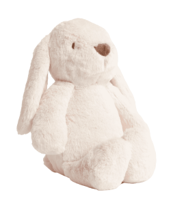 Bunny Soft Toy