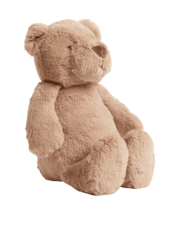 Bear Soft Toy