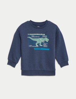 Cotton Rich Dinosaur Sweatshirt (2-8 Yrs)