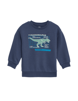 Cotton Rich Dinosaur Sweatshirt (2-8 Yrs)