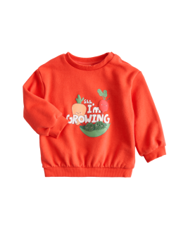 Cotton Rich I Am Growing Sweatshirt (0-5 Years)