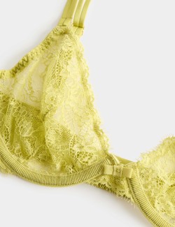 Ida Lace Wired Plunge Bra (A-E)