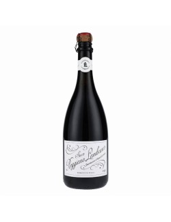 Reggiano Lambrusco, DOC, Vino Frizzante Secco