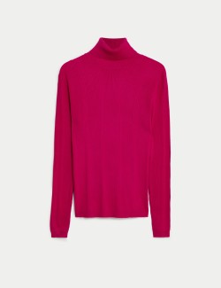 Ribbed Roll Neck Knitted Top