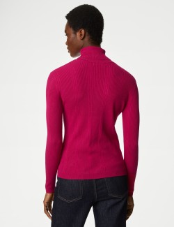 Ribbed Roll Neck Knitted Top